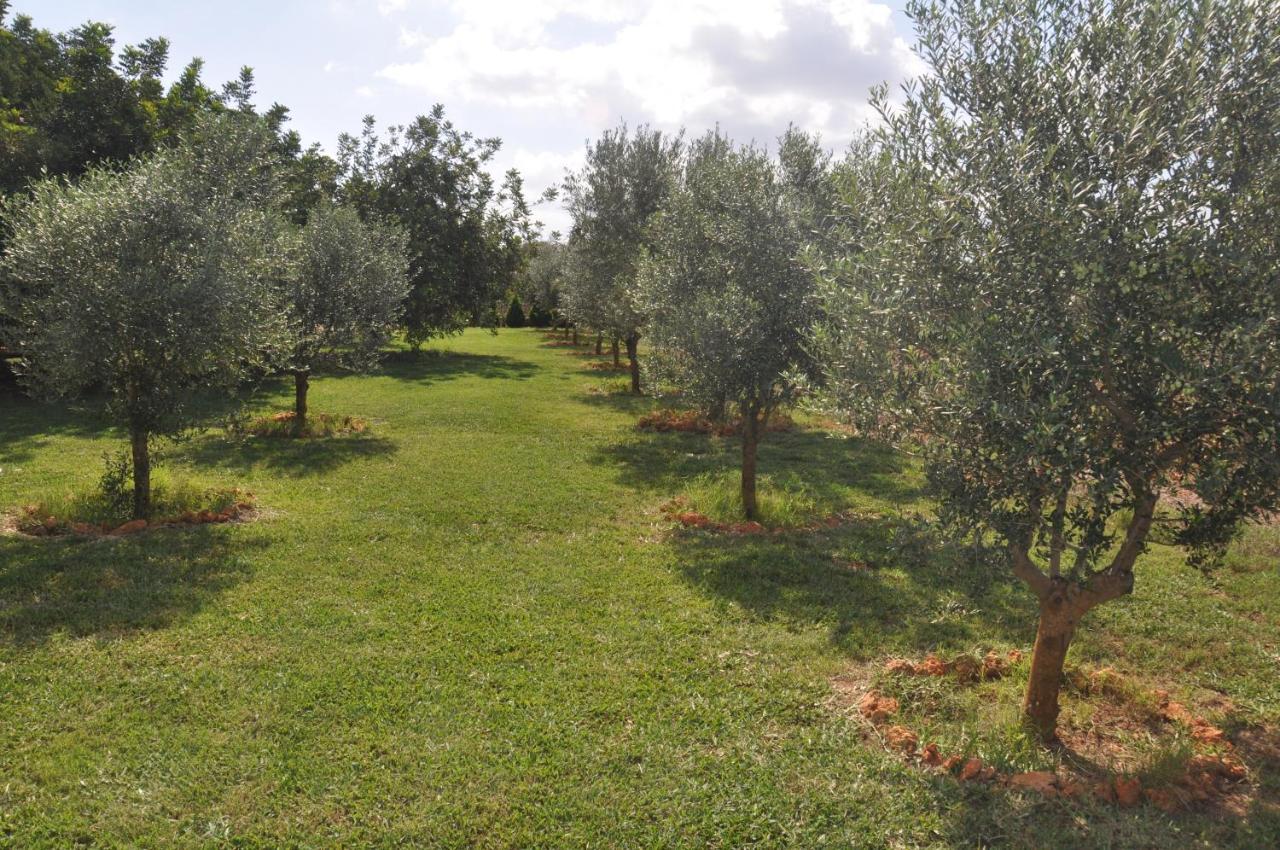 Can Porreti Agroturisme Lloret de Vistalegre Exterior photo